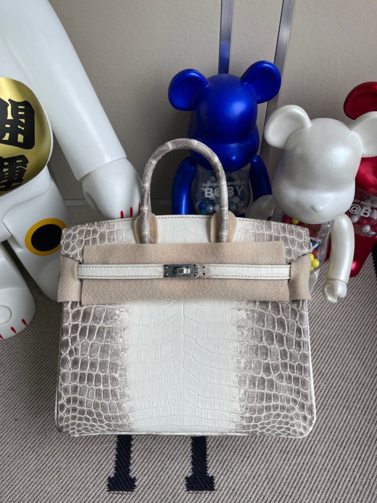 Uncle Bench Hermes Birkin 25cm Matte crocodile Himalaya Silver Hardware Full Handmade