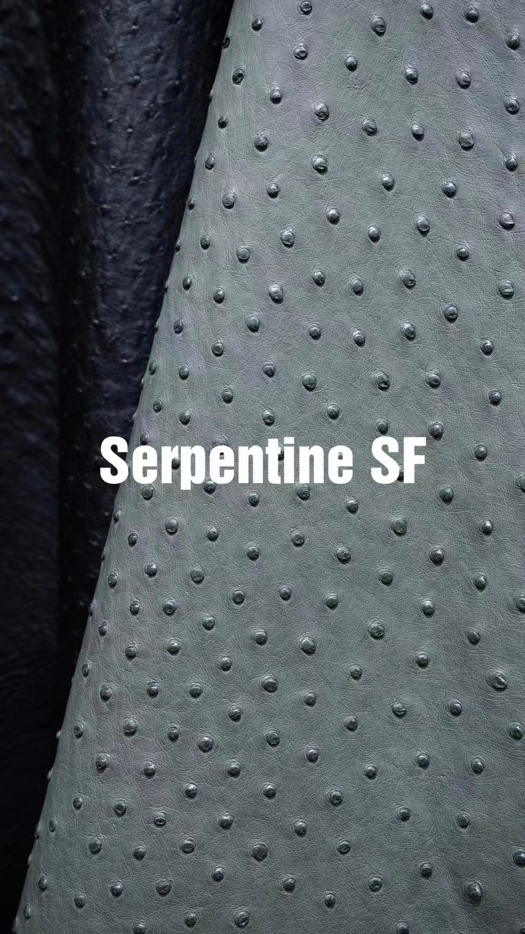 Uncle Bench Hermes Leather Ostrich Serpentine customized