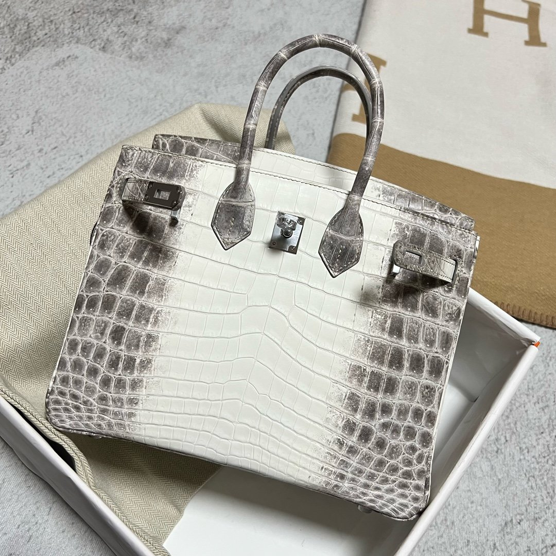 Uncle Bench Hermes Birkin Himalaya2 Matte crocodile Silver Hardware Phw 25cm Full Handmade